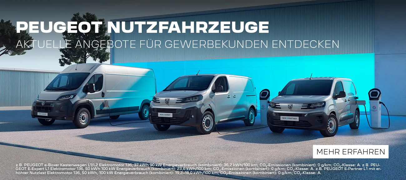 Peugeot Nutzfahzeuge